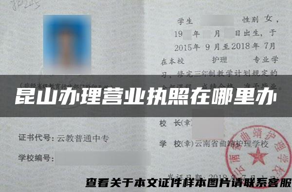 昆山辦理營業執照在哪里辦