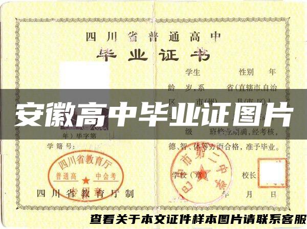 安徽高中畢業證圖片