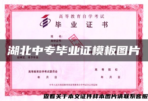 湖北中專畢業證模板圖片