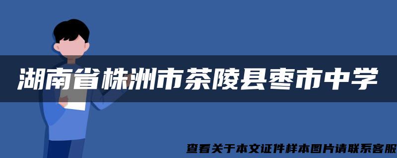 湖南省株洲市茶陵縣棗市中學