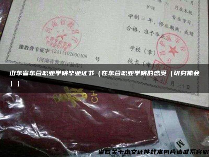 山東省東營職業學院畢業證書（在東營職業學院的感受（切身體會））