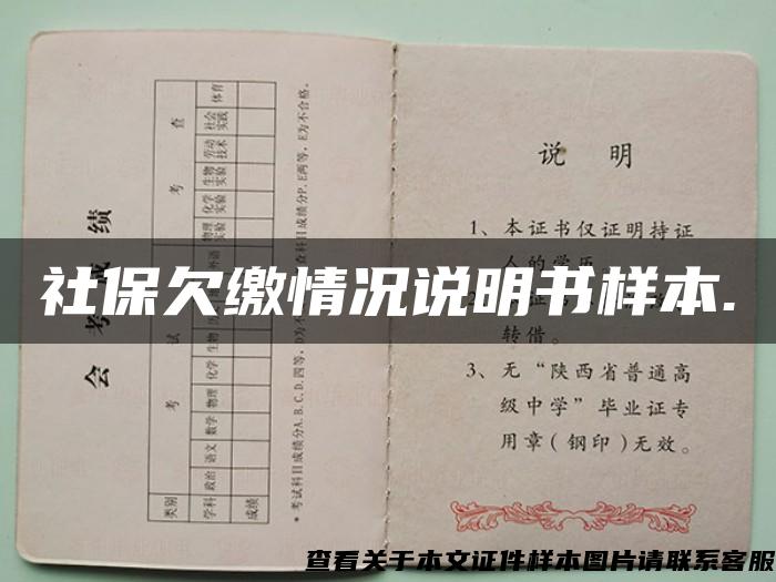 社保欠繳情況說明書樣本.