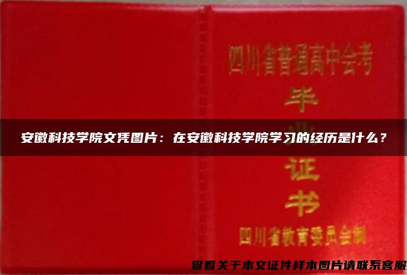 安徽科技學院文憑圖片：在安徽科技學院學習的經歷是什么？