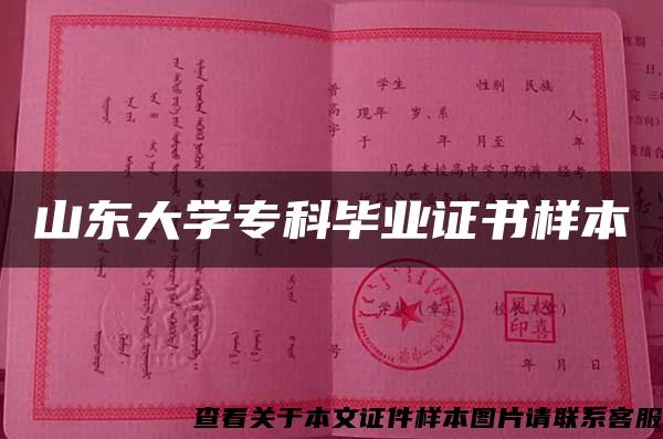 山東大學?？飘厴I證書樣本