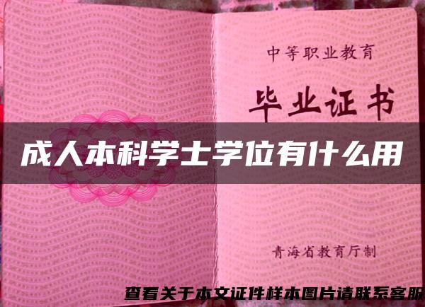 成人本科學士學位有什么用