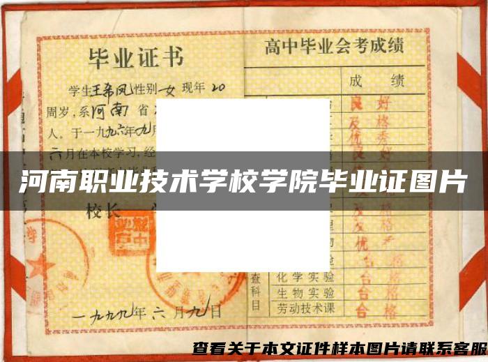河南職業技術學校學院畢業證圖片
