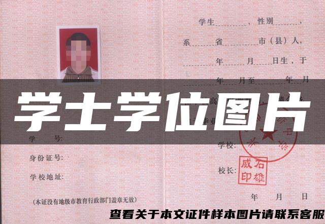 學士學位圖片