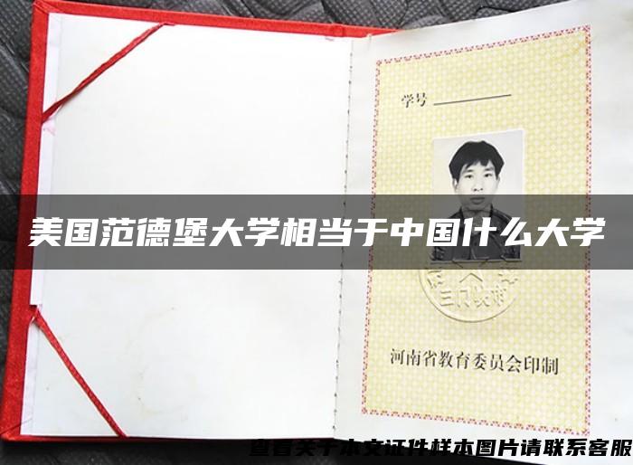 美國范德堡大學相當于中國什么大學