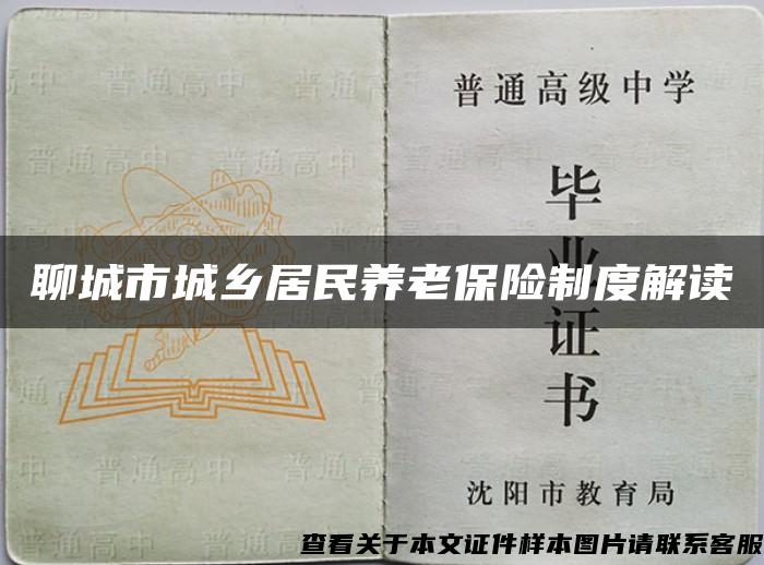 聊城市城鄉居民養老保險制度解讀