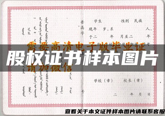 股權證書樣本圖片