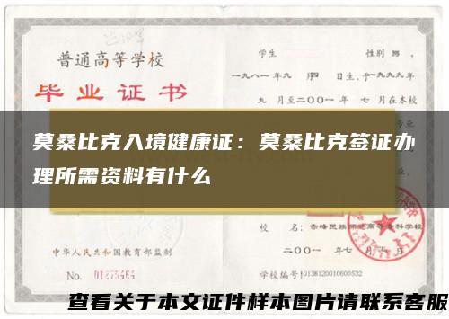 莫桑比克入境健康證：莫桑比克簽證辦理所需資料有什么