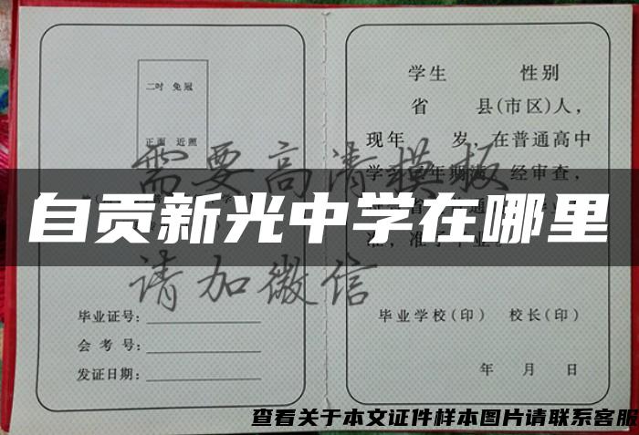 自貢新光中學在哪里