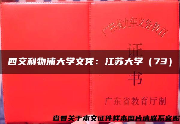 西交利物浦大學文憑：江蘇大學（73）
