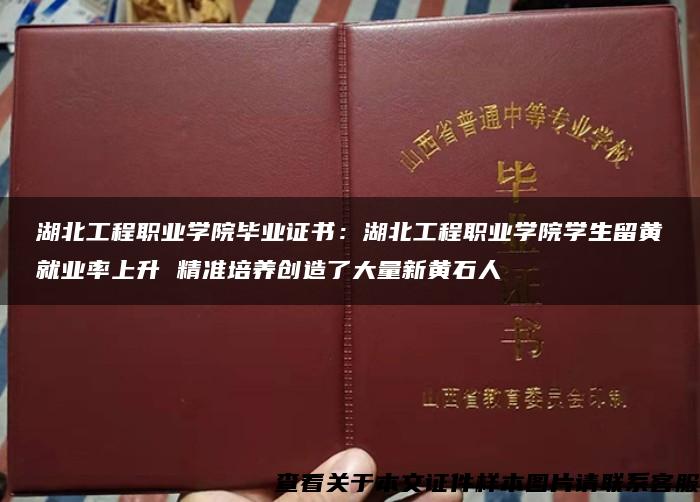 湖北工程職業學院畢業證書：湖北工程職業學院學生留黃就業率上升 精準培養創造了大量新黃石人