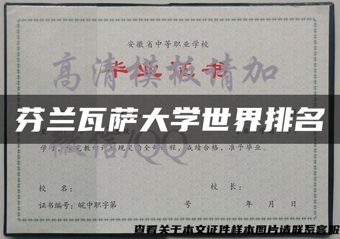 芬蘭瓦薩大學世界排名