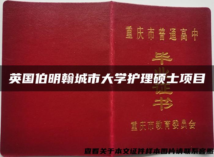 英國伯明翰城市大學護理碩士項目