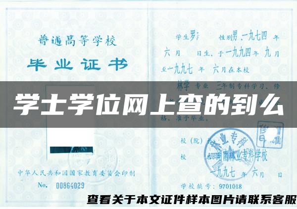 學士學位網上查的到么