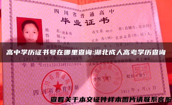 高中學歷證書號在哪里查詢:湖北成人高考學歷查詢
