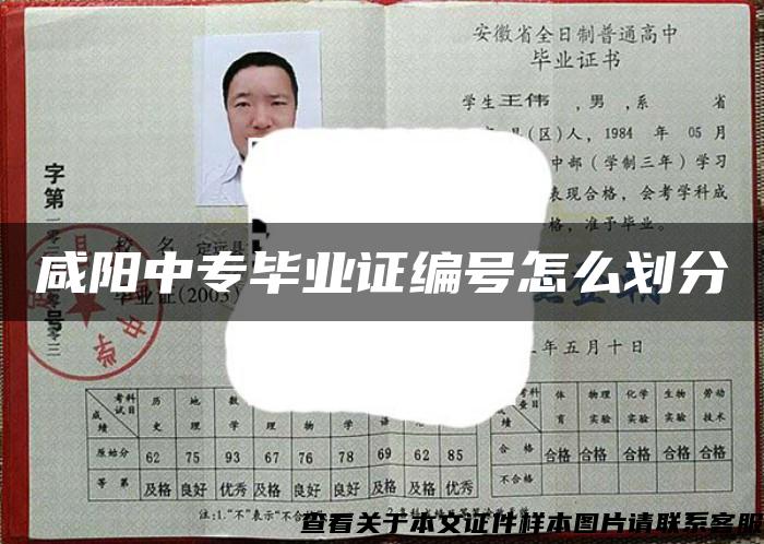 咸陽中專畢業證編號怎么劃分