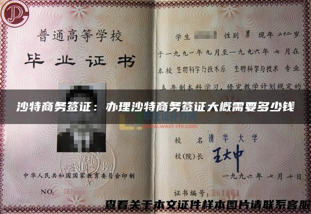 沙特商務簽證：辦理沙特商務簽證大概需要多少錢