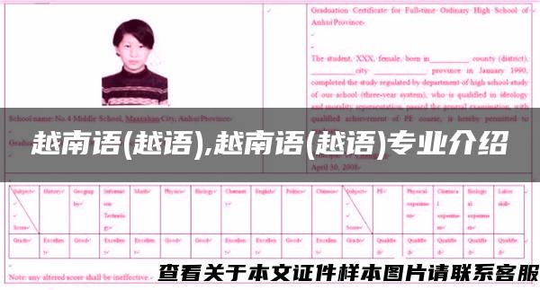 越南語(越語),越南語(越語)專業介紹