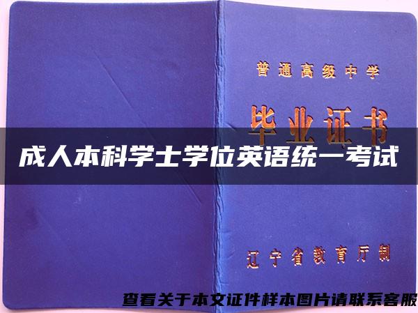 成人本科學士學位英語統一考試