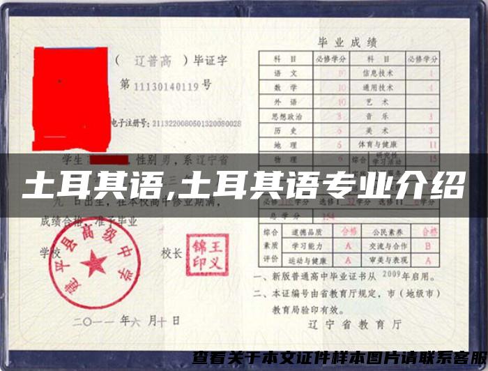 土耳其語,土耳其語專業介紹