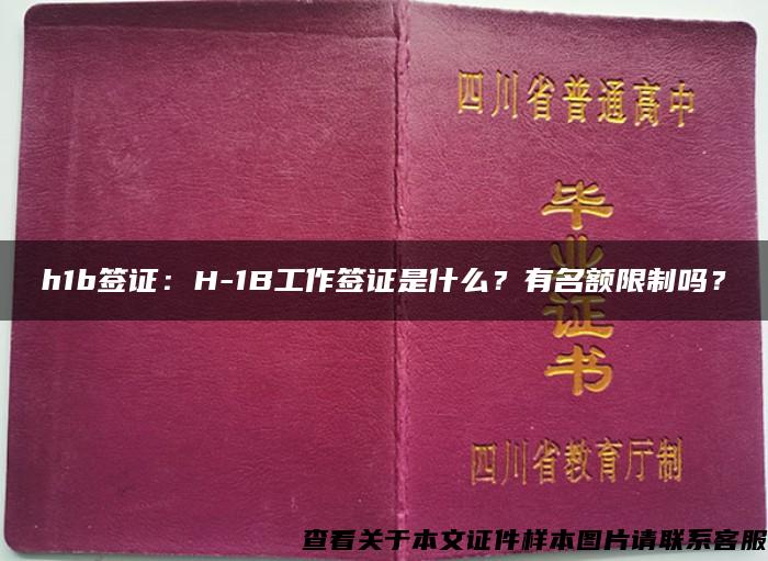 h1b簽證：H-1B工作簽證是什么？有名額限制嗎？