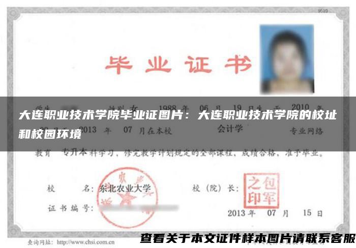大連職業技術學院畢業證圖片：大連職業技術學院的校址和校園環境