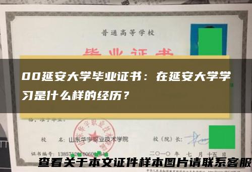 00延安大學畢業證書：在延安大學學習是什么樣的經歷？
