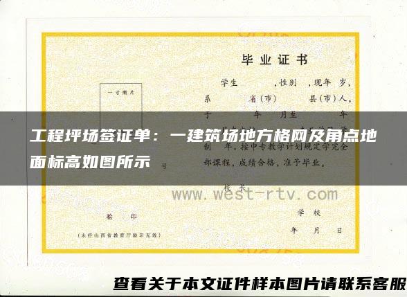 工程坪場簽證單：一建筑場地方格網及角點地面標高如圖所示