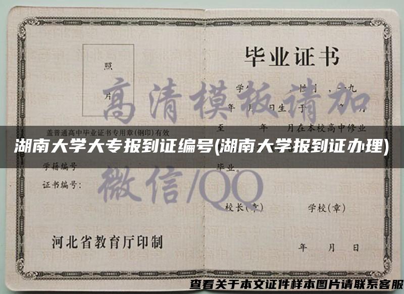 湖南大學大專報到證編號(湖南大學報到證辦理)
