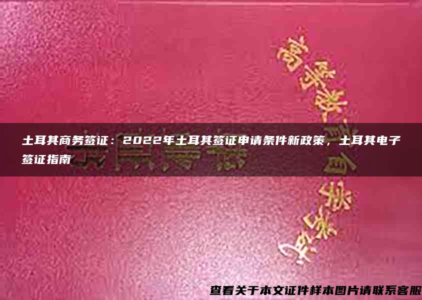 土耳其商務簽證：2022年土耳其簽證申請條件新政策，土耳其電子簽證指南