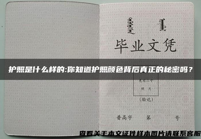護照是什么樣的:你知道護照顏色背后真正的秘密嗎？