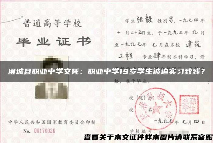 澄城縣職業中學文憑：職業中學19歲學生被迫實習致殘？
