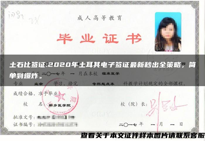 土石比簽證:2020年土耳其電子簽證最新秒出全策略，簡單到爆炸。