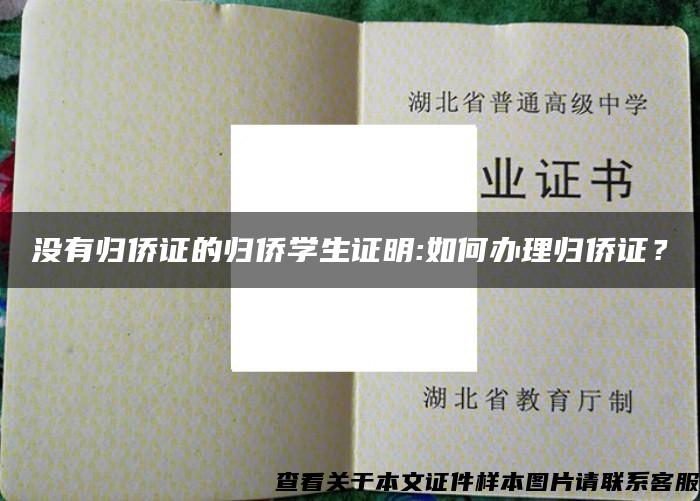 沒有歸僑證的歸僑學生證明:如何辦理歸僑證？