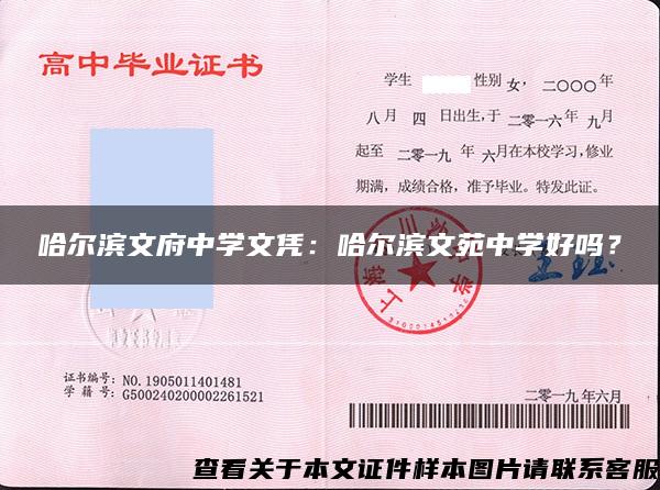 哈爾濱文府中學文憑：哈爾濱文苑中學好嗎？