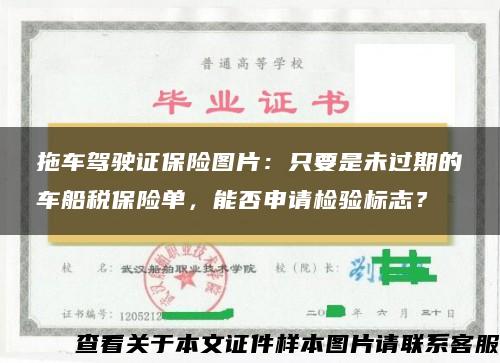 拖車駕駛證保險圖片：只要是未過期的車船稅保險單，能否申請檢驗標志？