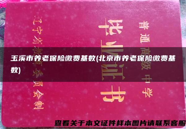 玉溪市養老保險繳費基數(北京市養老保險繳費基數)