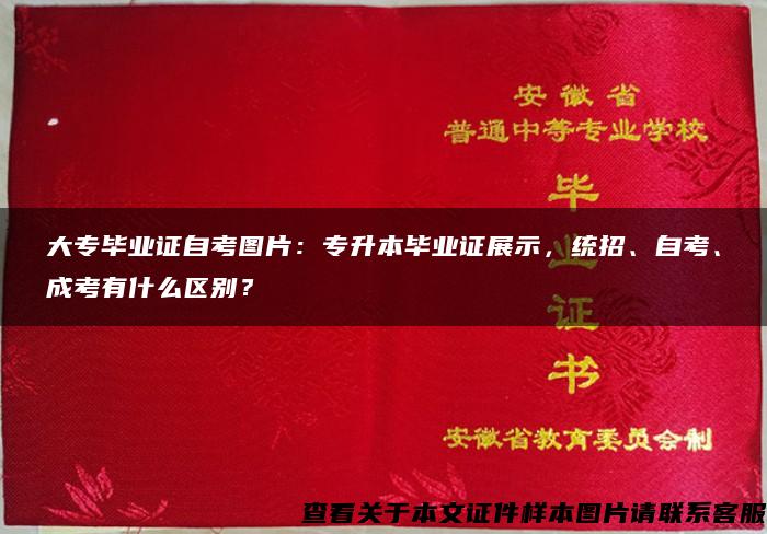 大專畢業證自考圖片：專升本畢業證展示，統招、自考、成考有什么區別？