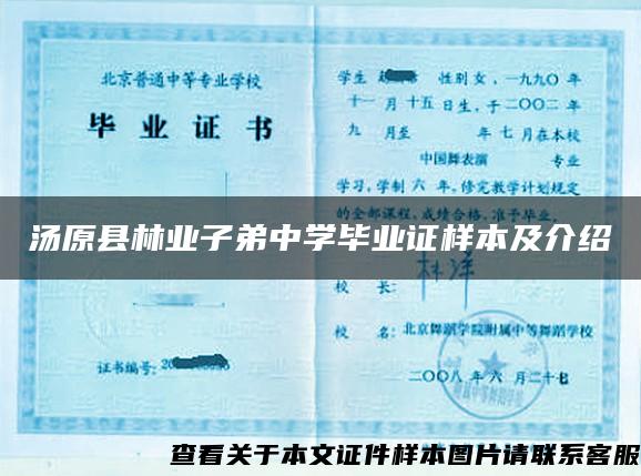 湯原縣林業子弟中學畢業證樣本及介紹