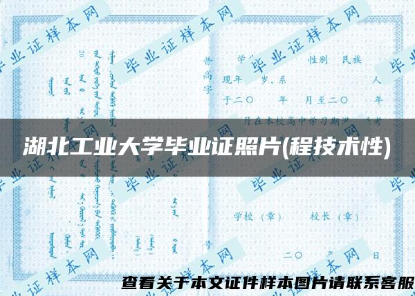 湖北工業大學畢業證照片(程技術性)