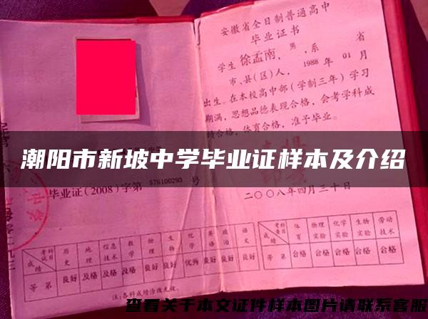 潮陽市新坡中學畢業證樣本及介紹