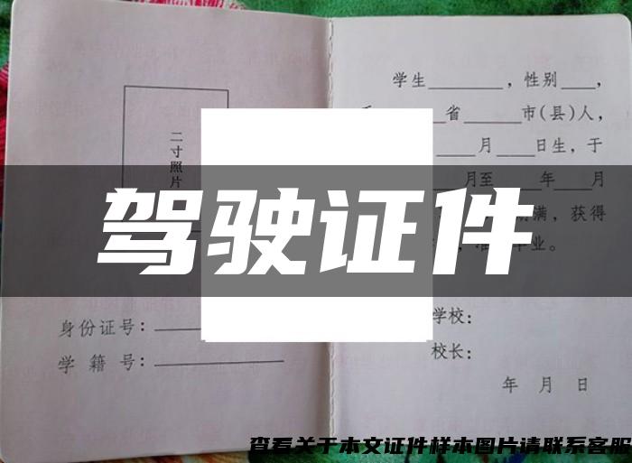 駕駛證件