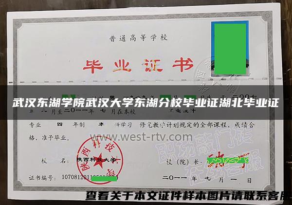 武漢東湖學院武漢大學東湖分校畢業證湖北畢業證