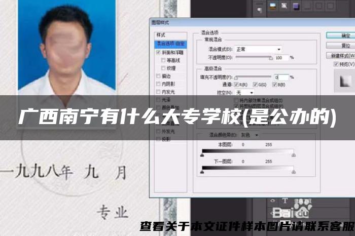 廣西南寧有什么大專學校(是公辦的)