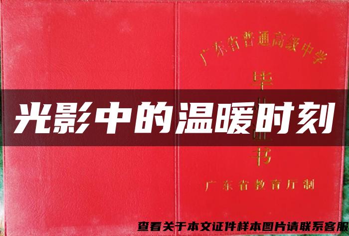 光影中的溫暖時刻