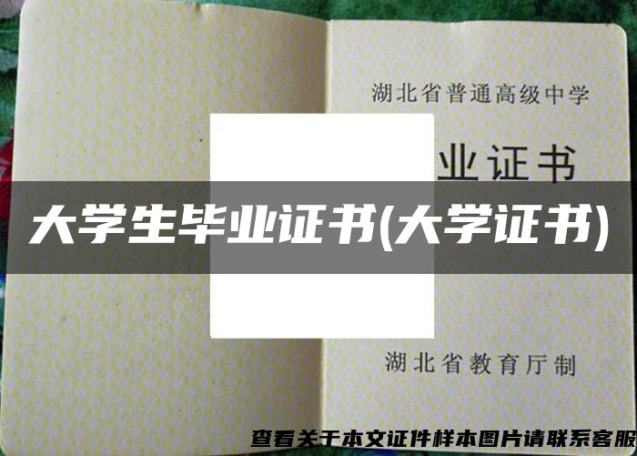 大學生畢業證書(大學證書)