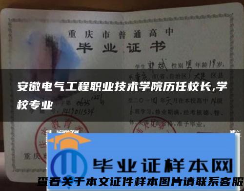安徽電氣工程職業技術學院歷任校長,學校專業